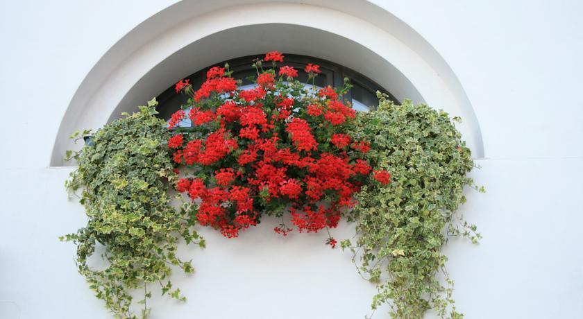 Al Bagolaro Bed and Breakfast Crocetta del Montello Εξωτερικό φωτογραφία