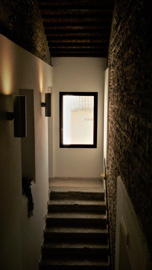 Al Bagolaro Bed and Breakfast Crocetta del Montello Εξωτερικό φωτογραφία