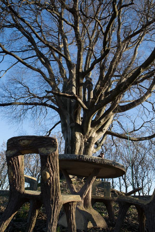 Al Bagolaro Bed and Breakfast Crocetta del Montello Εξωτερικό φωτογραφία